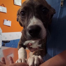 D 5660b2db 5fae 49a3 aa0d d5e0cdaa25e3