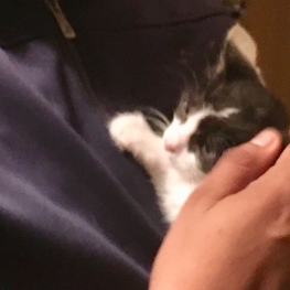 D 9ad156d2 64d3 45f5 ab10 905e27f4c944