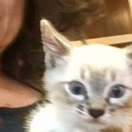 D eaadb2b8 dabe 488a b642 b776a7527128