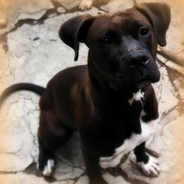 D ce24fd7c 7e13 4c8c a087 a5e0981d2553