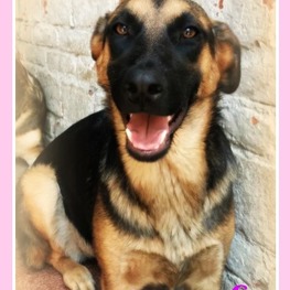 D 7bfb2d5d 5f5c 4e31 96a8 35e241bf4c4e