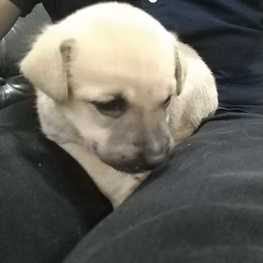 D 7789633f bd98 495d bd87 20f39d6c4f13