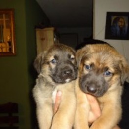 D ca1e73a8 40fe 4933 8cd7 9d574ff6947f