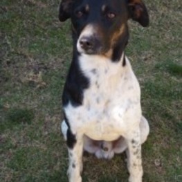 D 872142d5 a916 42d7 98a5 71999558ce99