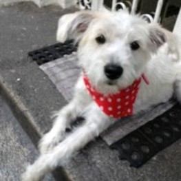 D 89a603ce f2ae 49c4 915a 9e714d825398