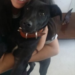 D da57571d 681d 4bb5 ae5d dfa662a7ffe4