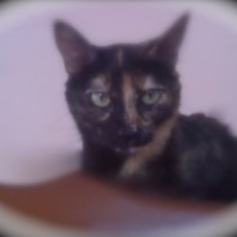 D 63c90ca5 b8fc 4fd8 97ab 4c2a3f1d3cfe