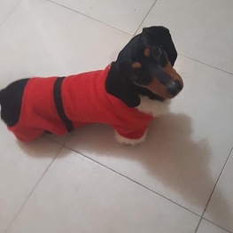 D 40bdfce2 1d0a 4008 8ebd e9cfaef66a43