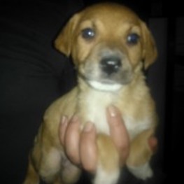 D 17fc036f 3a38 4e12 9150 0e5e4163c17f