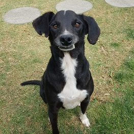 D 5edd7643 3112 43c1 aa0c 498efe454a25