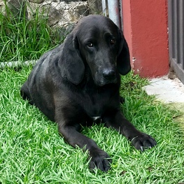 D a93b21d7 d499 4b61 af47 2ad5246ac5a6