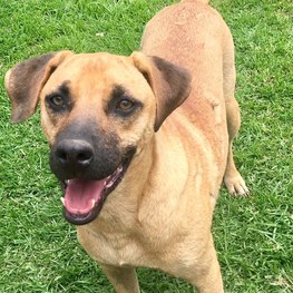 D 1adb0c87 3602 493f b005 4d03afe4ab17