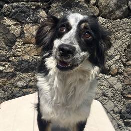 D 22b1d4dc 5c33 4f11 b729 cd8d9c82a8cd