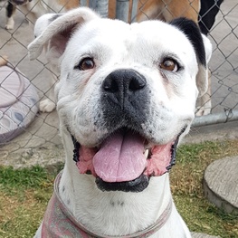 D 0094ad55 c38b 4b95 b209 38c7b6f68882