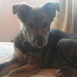 D ae493b84 b409 481e b1f3 0bdd96d67846