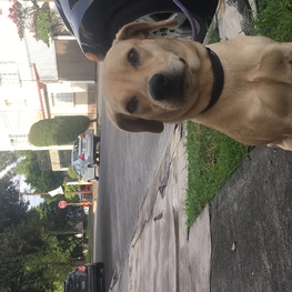 D 8c843261 2c5e 49e1 9f11 60a05048736c