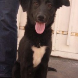 D 597e9634 edd6 4387 aa1e 3f5406352b17