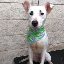 D b3a3c82c fc86 4931 b7aa 1dd4c58e8557