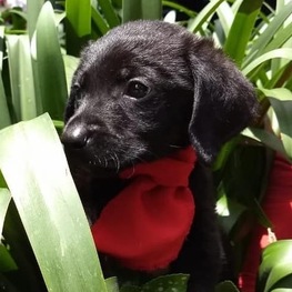 D 16195238 0b95 475a 9625 9f04ffe7b72c