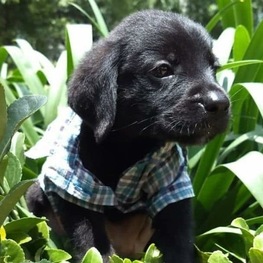 D cb27a9f6 0dc0 47fe 8619 a736b36f05f1