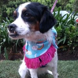 D fc36bd97 e912 4ab4 9f71 82ba980d5192