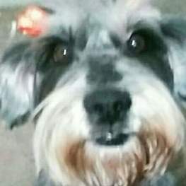 D d2ace199 e4f5 4cc6 a897 201981d89821