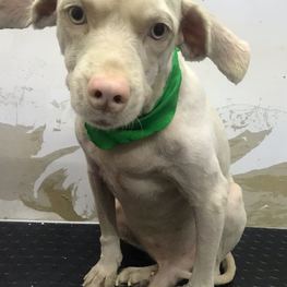 D cd8ca8a9 3df2 4a82 ba20 558c27e19144