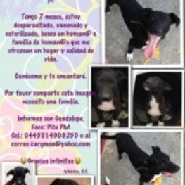 D 846f940d 069b 4f34 96c0 2affd2fde1b3