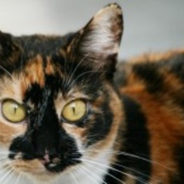 D e610bc91 4d7c 4763 9f8a 8398161de4dd