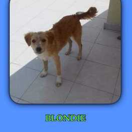 D 01b6bf26 83ab 4885 8545 3a5599a5e830