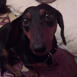 D 8f6230d2 e501 4731 b28c 63f9b10b00c7