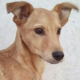 D 47cdd8a1 50ee 45d5 b19c 245fe62aa80e