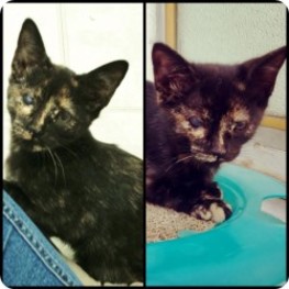 D 5ce0e6fe 8838 468b a451 6b8efe6dc30f