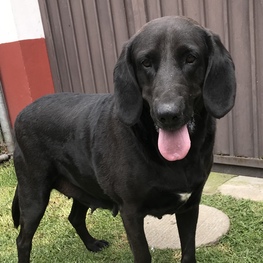 D 9ec4c415 e820 4045 af75 8eee5c97c68e