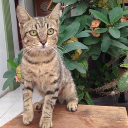 D 129e9061 e9da 434a 931b ae4f9171678c