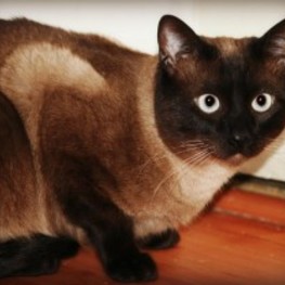 D 3a99652d 320e 41a4 a9c9 9a9e2285fcf1