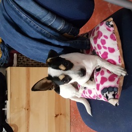 D 7820374e 9402 4704 b9a2 c9a812e6a480