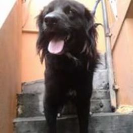 D 0aa1e868 ff80 441d b4a7 a1c83b5fb138