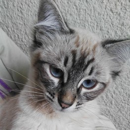 D e8c222b1 b95d 4607 b2fc efa64b993934