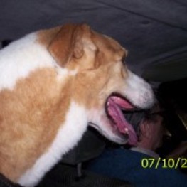 D 6b97b681 eec5 4f62 b524 3be62c20667a