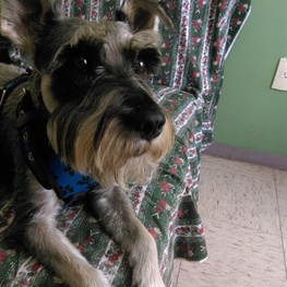 D e0d274e8 79cb 46fc 9b66 2f34627ca92a