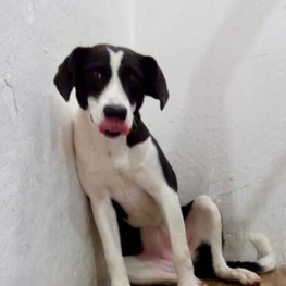 D ed2d9ded 163a 402c 873a 33beefc18843