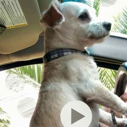 D 63d3796a 52c4 4ab5 bfe1 25cde124c9d1