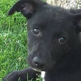 D ef6ea115 de59 4dec b9aa 15098476bcce