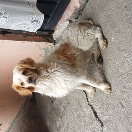 D 8630baa5 fdd5 457e a630 5505700fead0