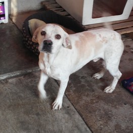 D 76aa48b6 d387 43c5 ab6f 282a9ffb9236