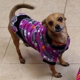 D f8c546d1 f595 4510 b20c aa7d01ec2ce5