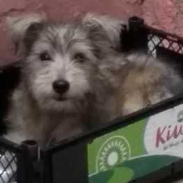 D 73c51fb0 5709 4bf4 a3a6 d6c8a5353437