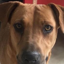 D 03d7c6ed 0e60 4b9b a2f1 0a36bd48480d