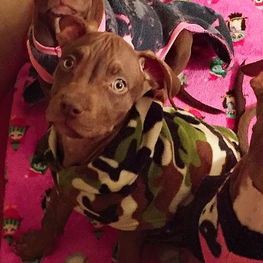 D e374c2f5 3bb7 464e 9224 fba026a0435c